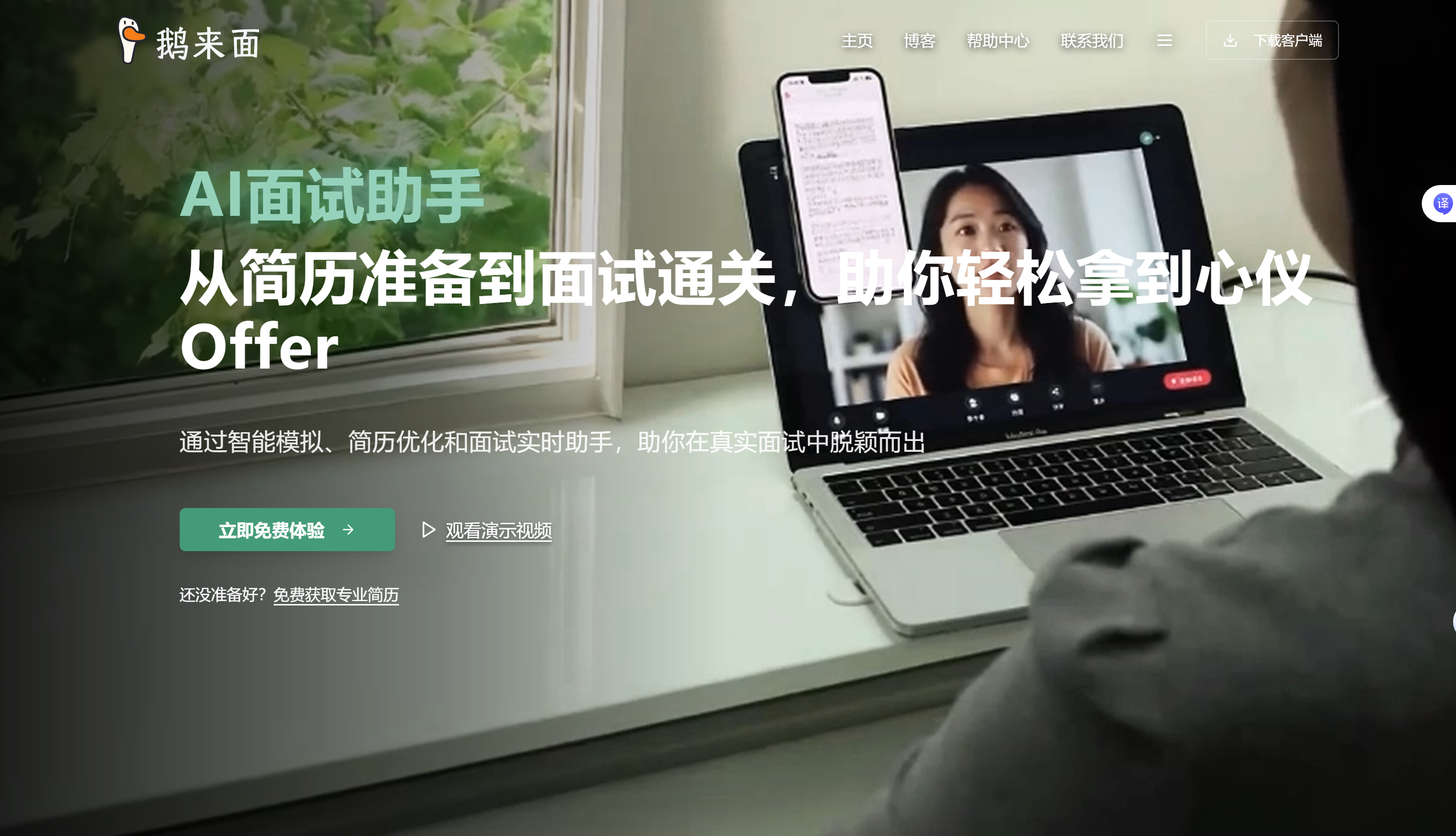 多面鹅